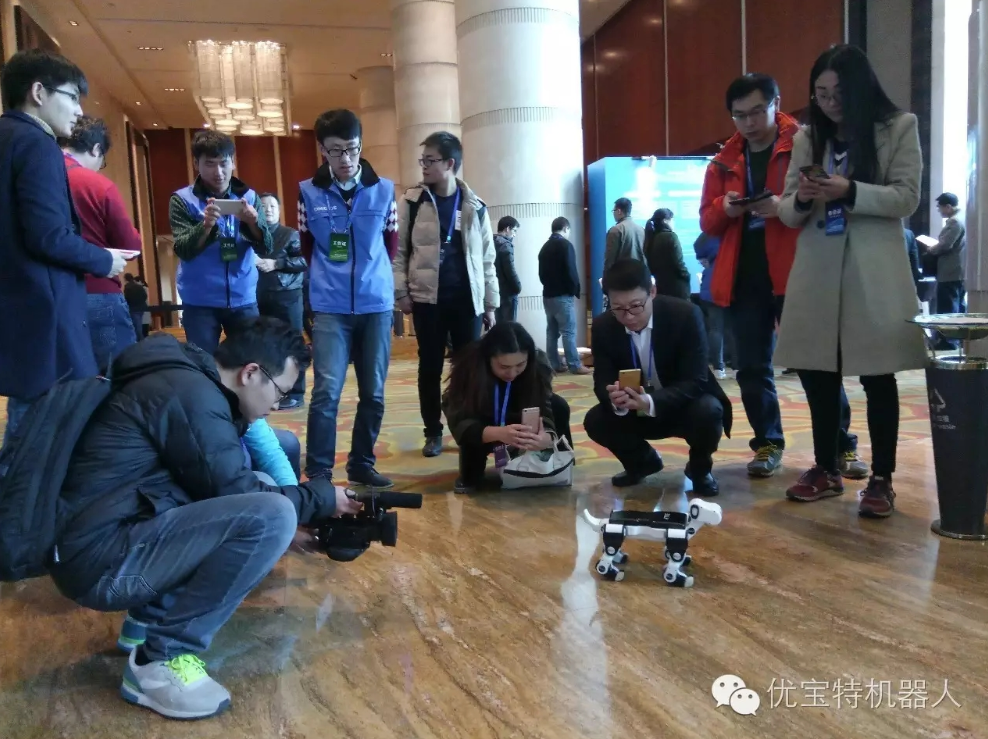 “單身狗”紅透光棍節(jié)，小Billy榮獲中國智能創(chuàng)新設(shè)計(jì)大賽亞軍